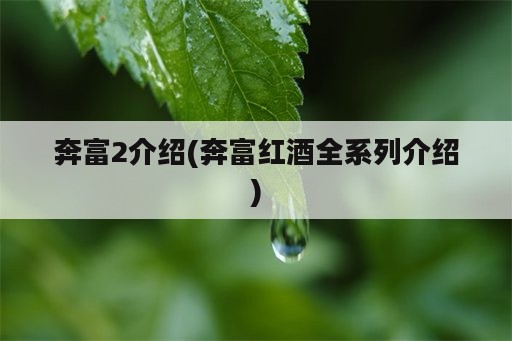 奔富2介绍(奔富红酒全系列介绍)