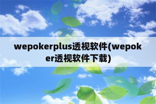 wepokerplus透视软件(wepoker透视软件下载)