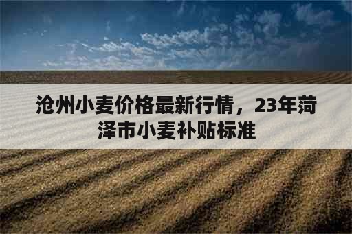 沧州小麦价格最新行情，23年菏泽市小麦补贴标准